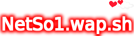 NetSo1.wap.sh 771 2